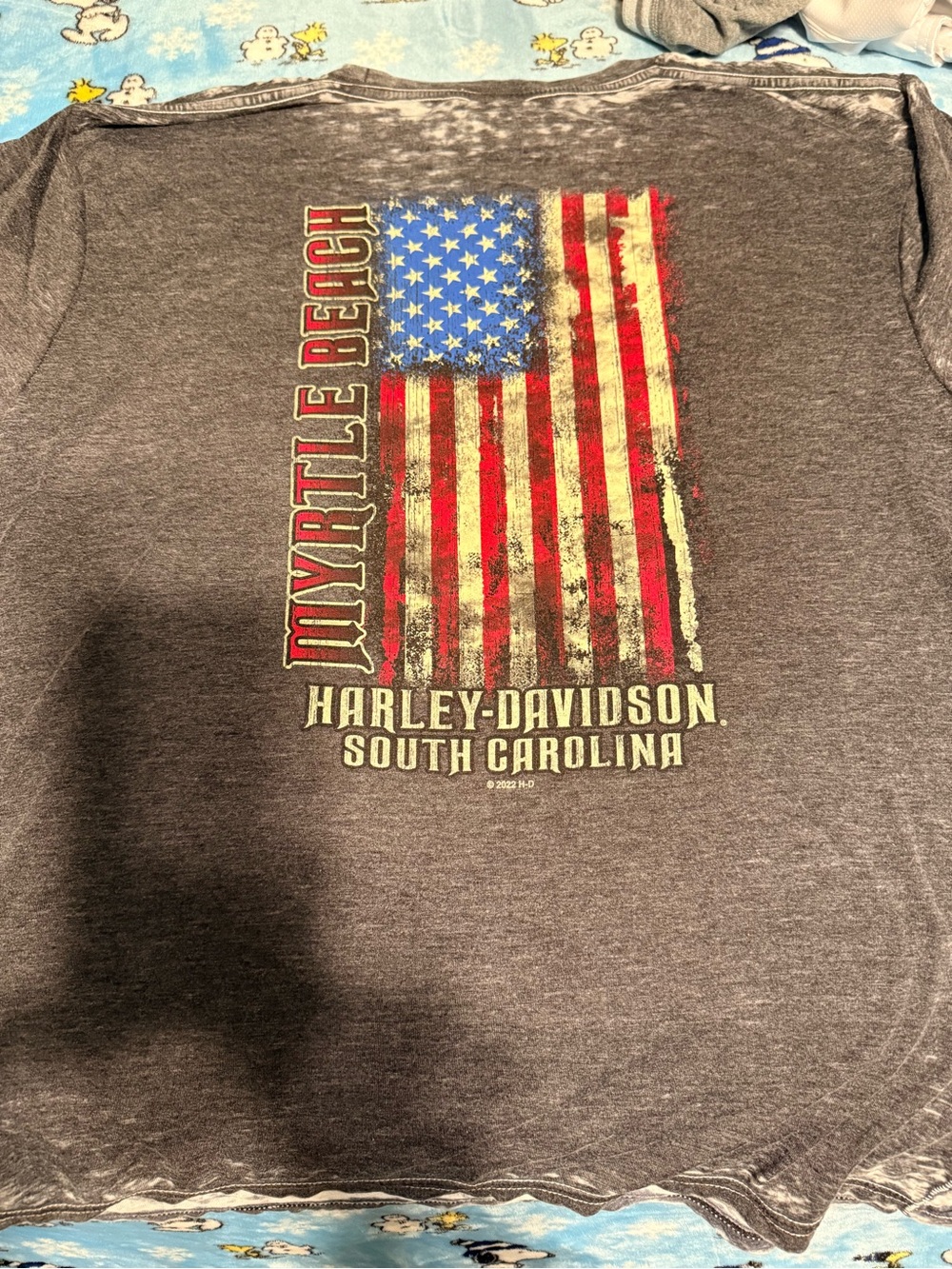 Harley-Davidson Myrtle Beach Gray Flag Graphic T-Shirt